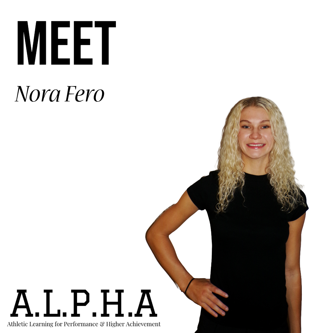 12 session program w/ Nora Fero