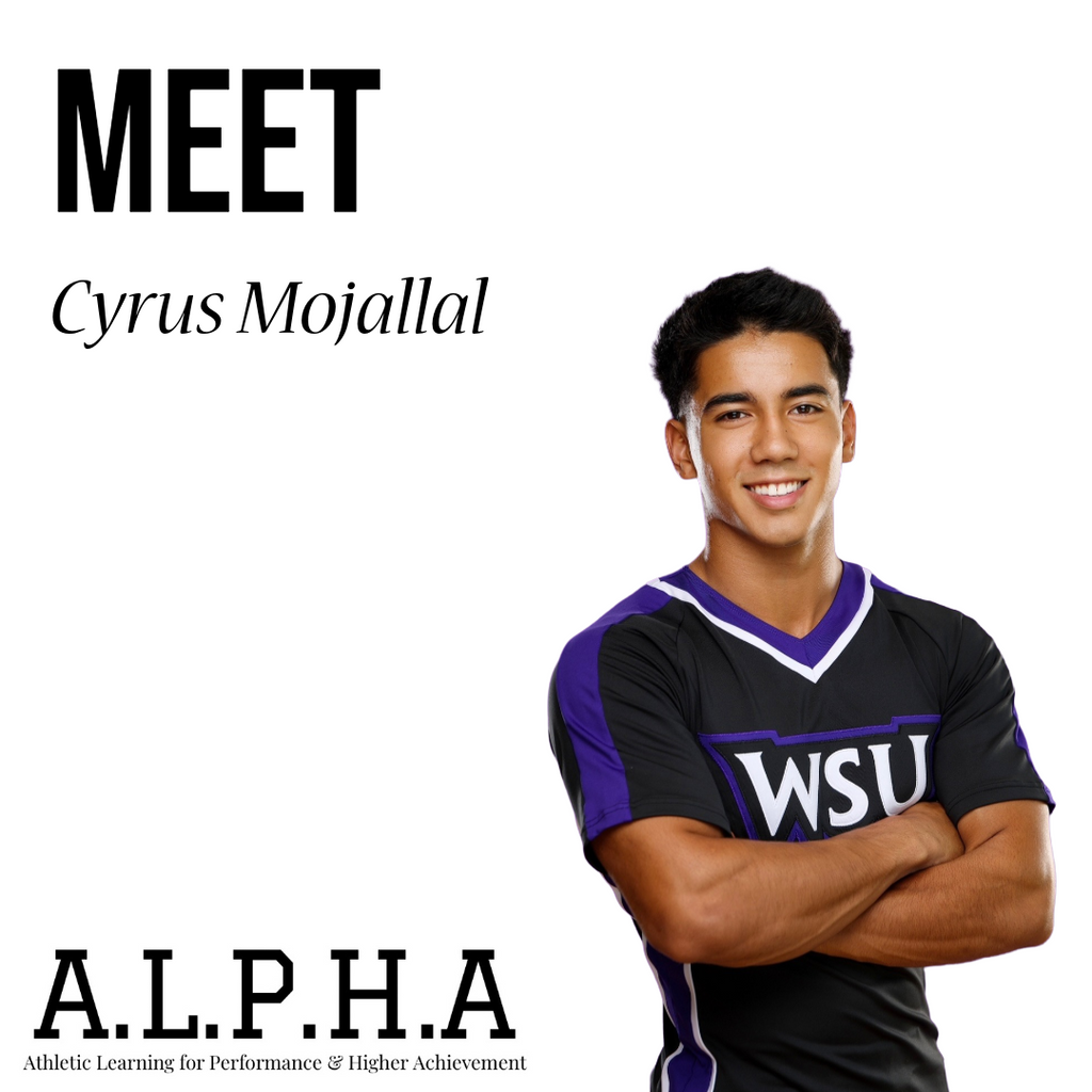1 session program w/ Cyrus Mojallal