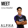 1 session program w/ Cyrus Mojallal